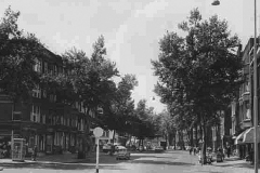 Van-Citterstraat-gezien-vanaf-het-Burgemeester-Meineszplein1968